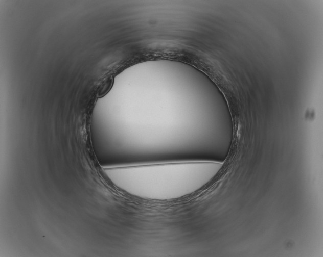 X0000093260771200709261617