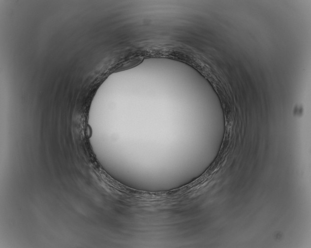 X0000093260772200709261617