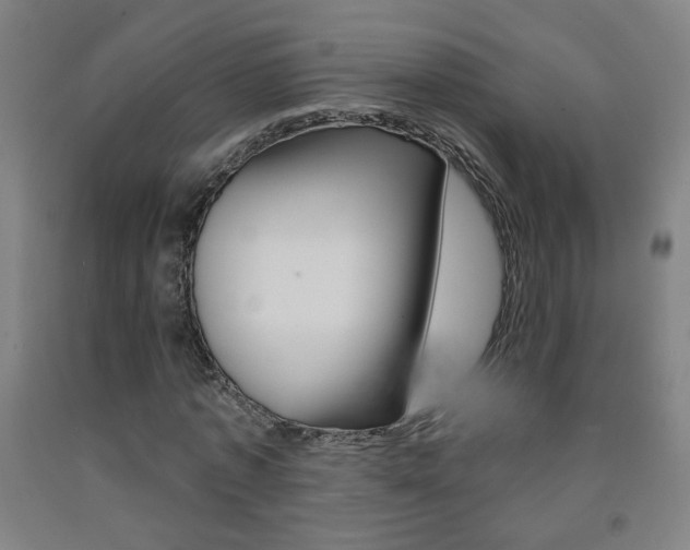 X0000093260773200709261617