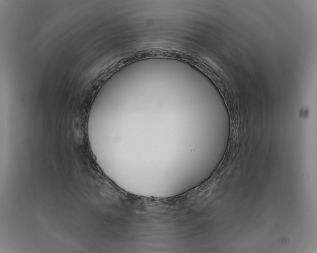 X0000093260774200709261617