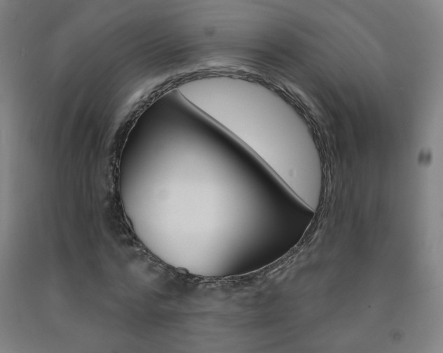 X0000093260776200709261617