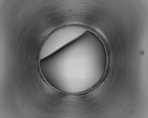 X0000093260777200709261617