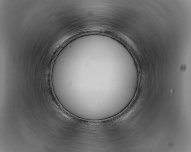 X0000093260778200709261617
