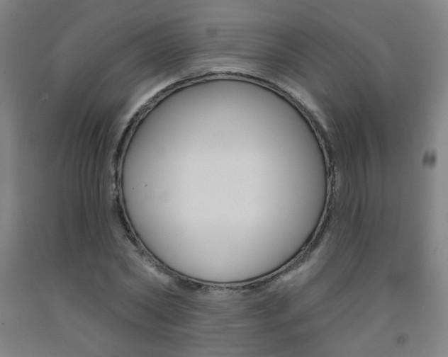 X0000093260782200709261617