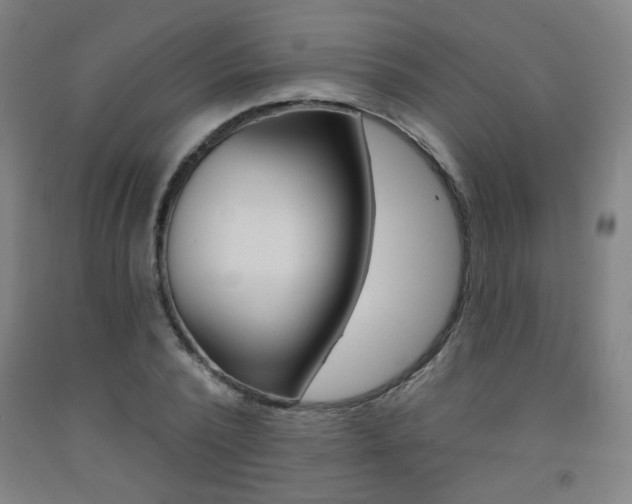 X0000093260784200709261617