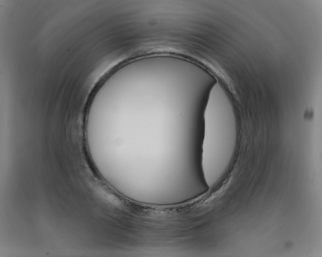 X0000093260790200709261617