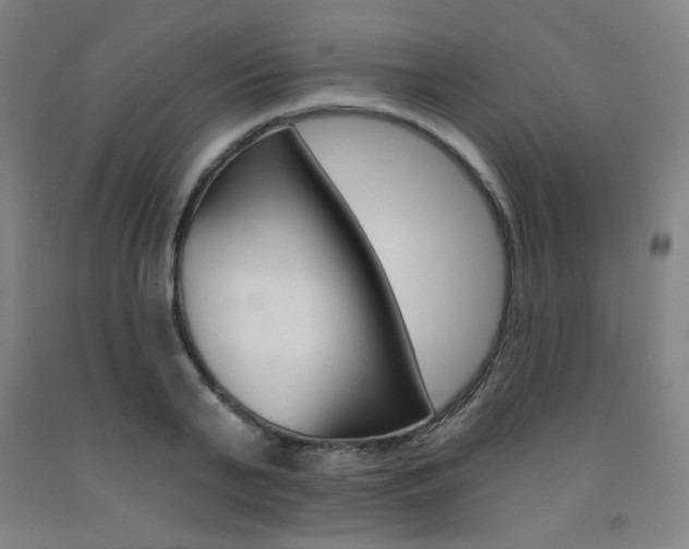 X0000093260791200709261617
