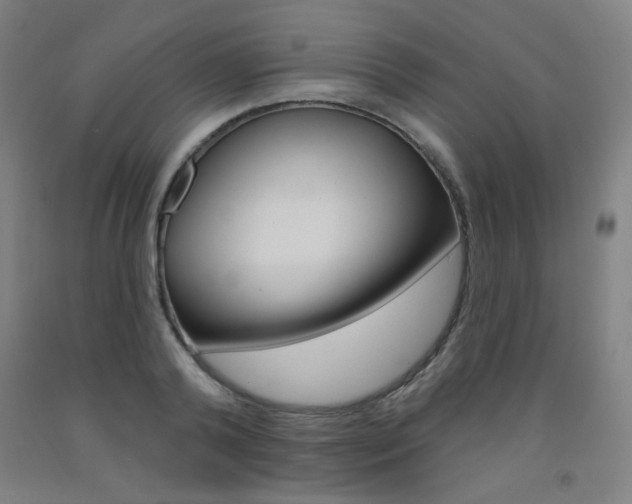 X0000093260792200709261617