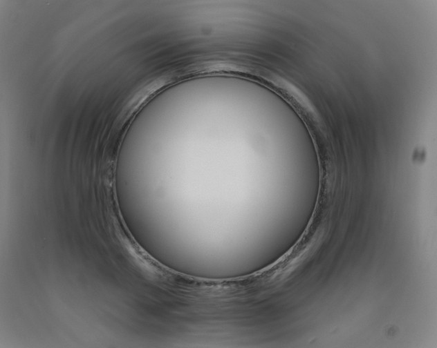 X0000093260793200709261617