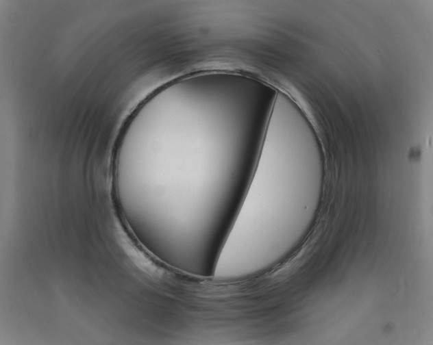 X0000093260795200709261617