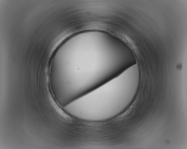 X0000093260796200709261617
