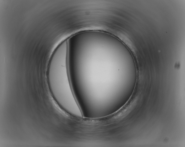 X0000093260797200709261617