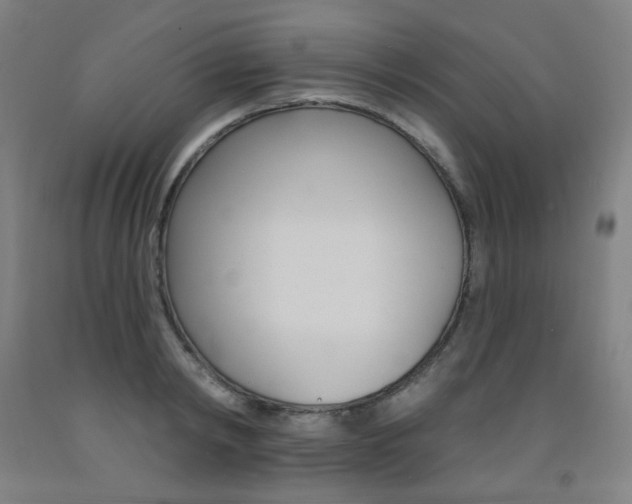 X0000093260798200709261617