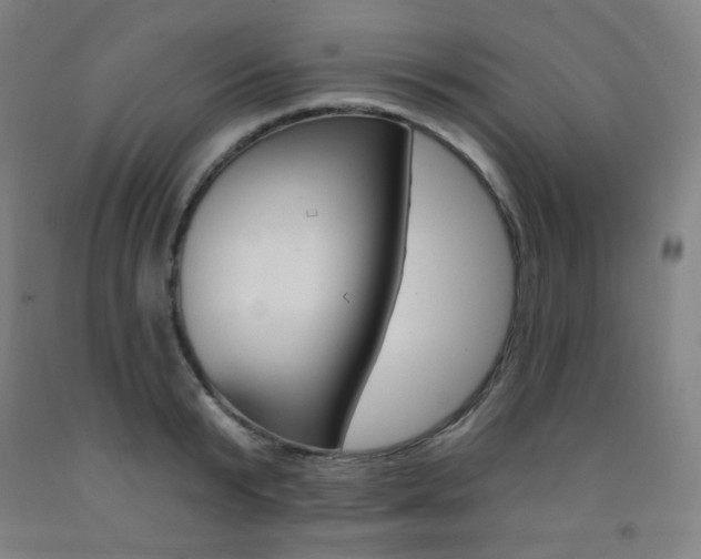 X0000093260799200709261617