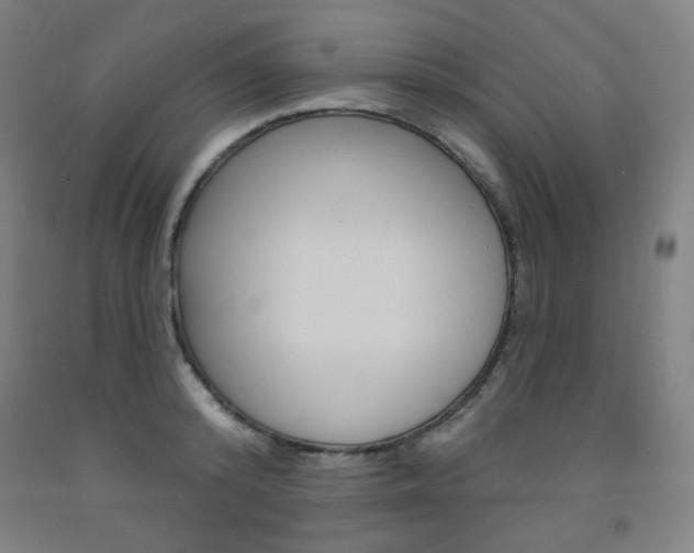 X0000093260800200709261617