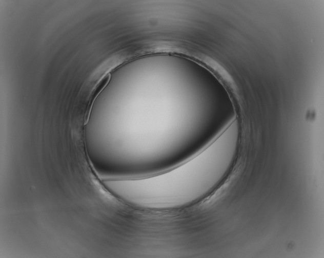 X0000093260801200709261617