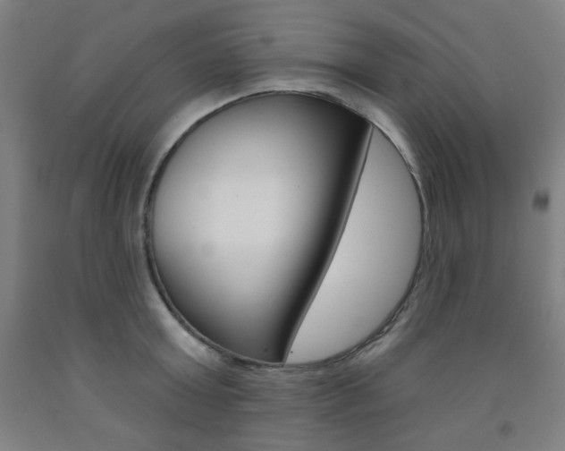 X0000093260803200709261617