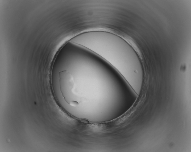 X0000093260805200709261617