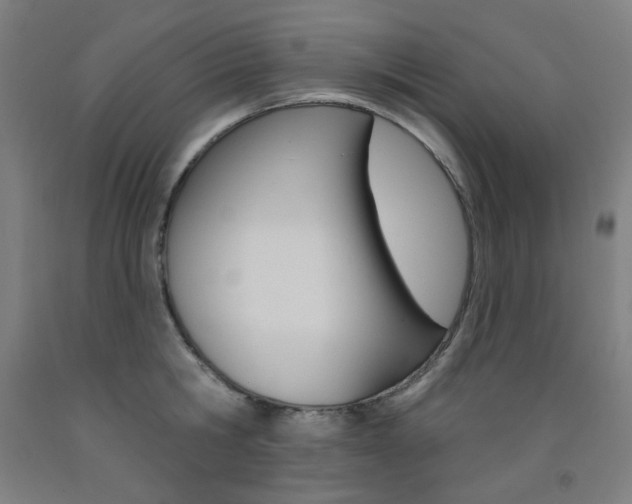 X0000093260806200709261617
