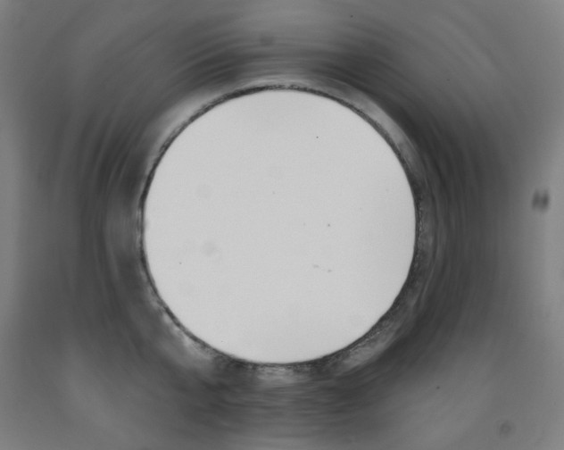 X0000093260807200709261617