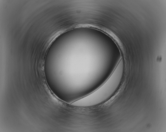 X0000093260809200709261617