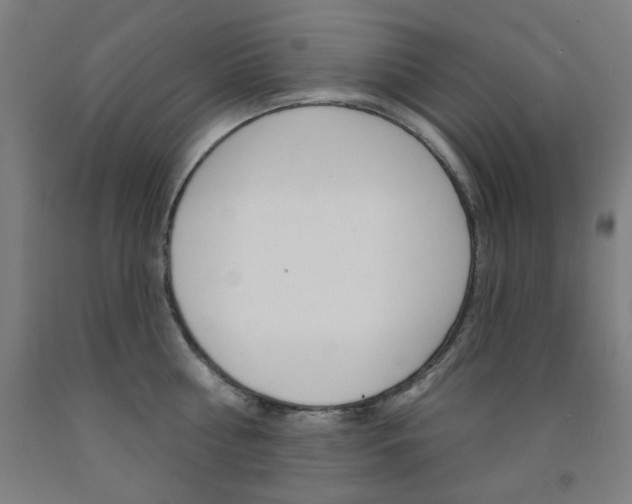 X0000093260810200709261617