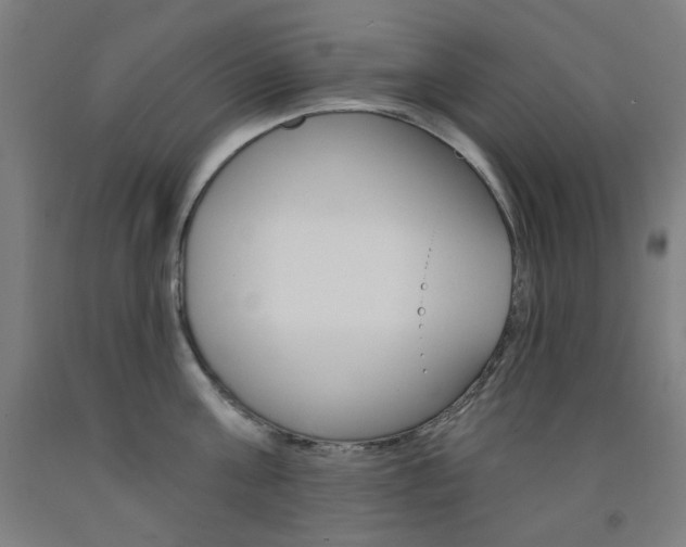 X0000093260811200709261617