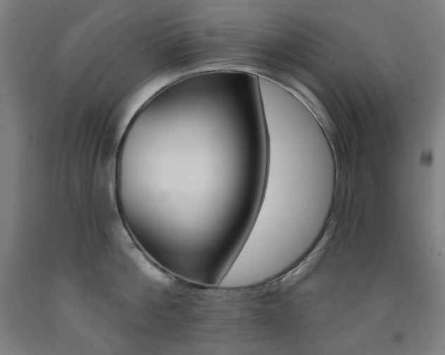X0000093260812200709261617