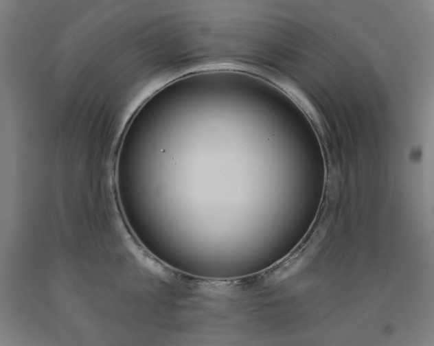 X0000093260813200709261617