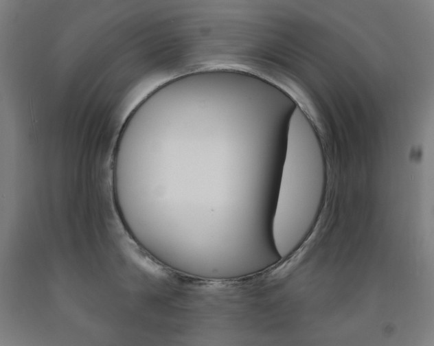 X0000093260814200709261617