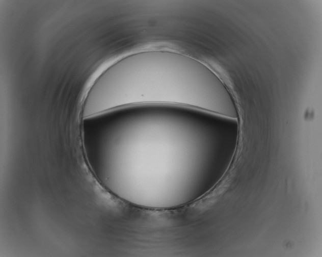 X0000093260816200709261617