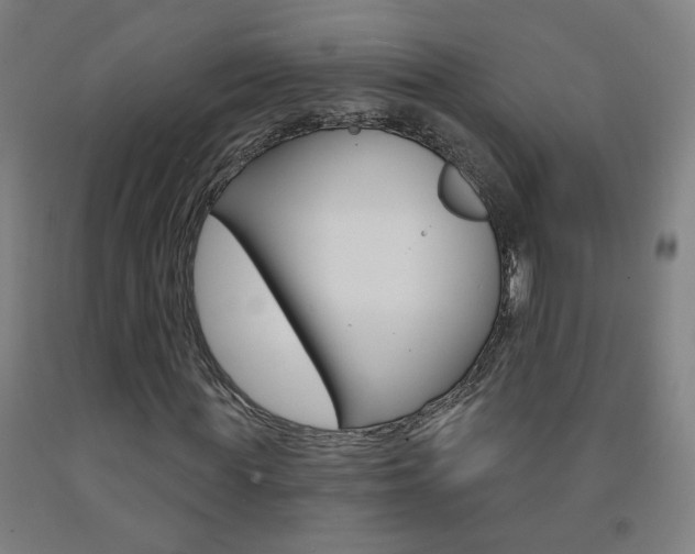 X0000093260819200709261616