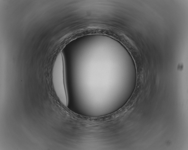 X0000093260821200709261616