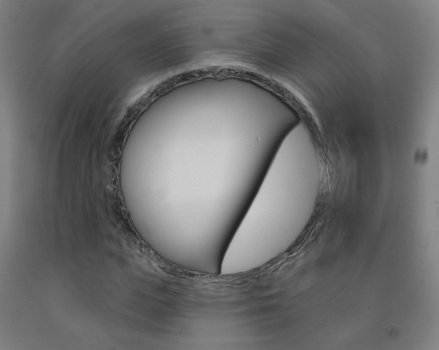 X0000093260823200709261616