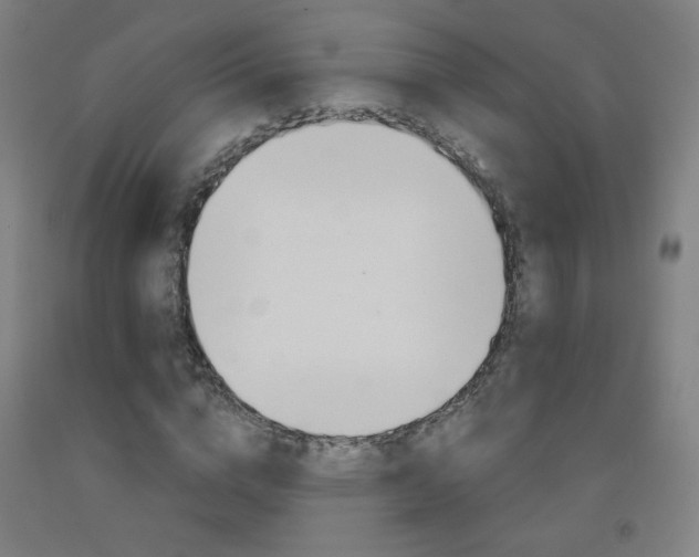 X0000093260824200709261616