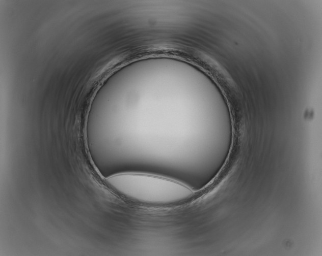X0000093260825200709261616