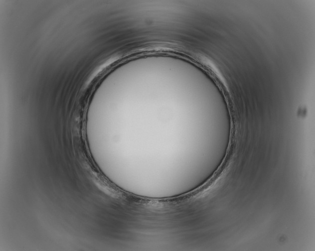 X0000093260827200709261616
