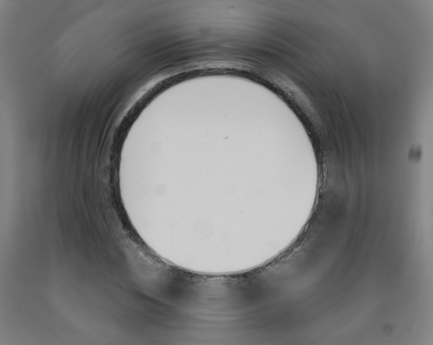 X0000093260828200709261616