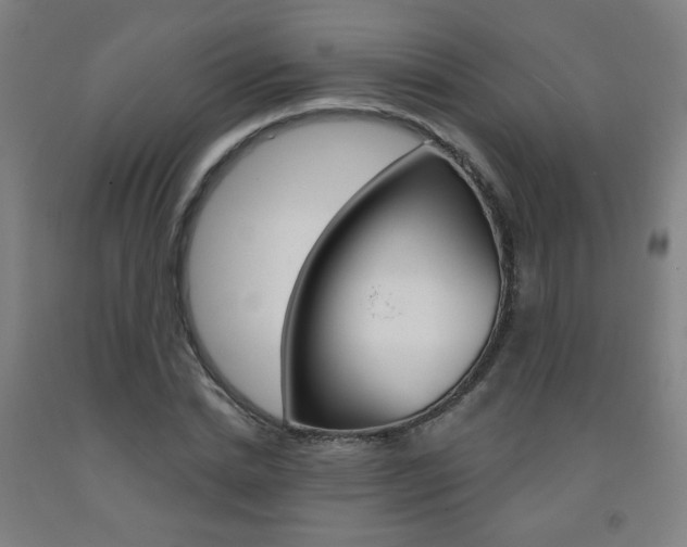 X0000093260830200709261616