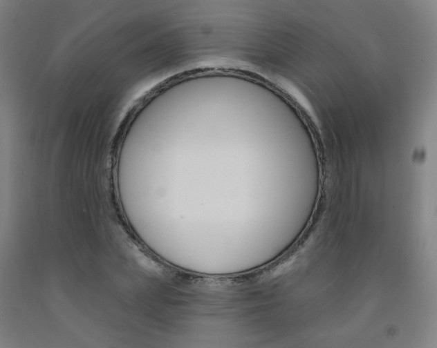 X0000093260831200709261616