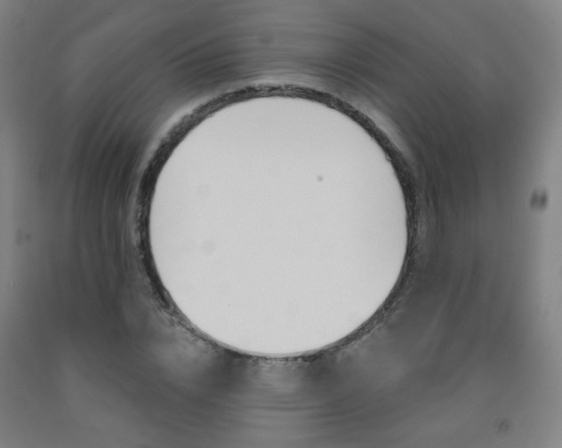 X0000093260832200709261616