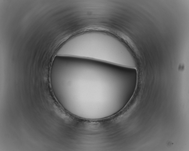 X0000093260833200709261616