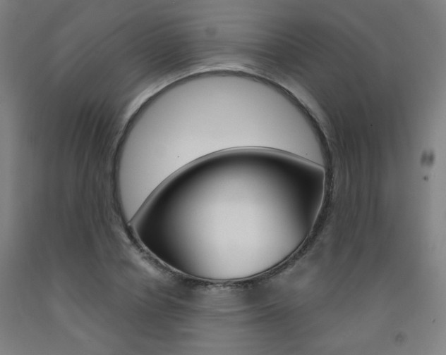 X0000093260834200709261616