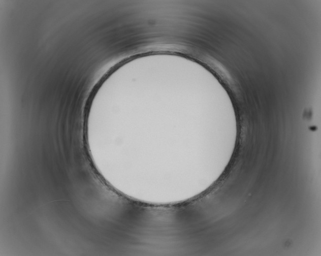 X0000093260836200709261616