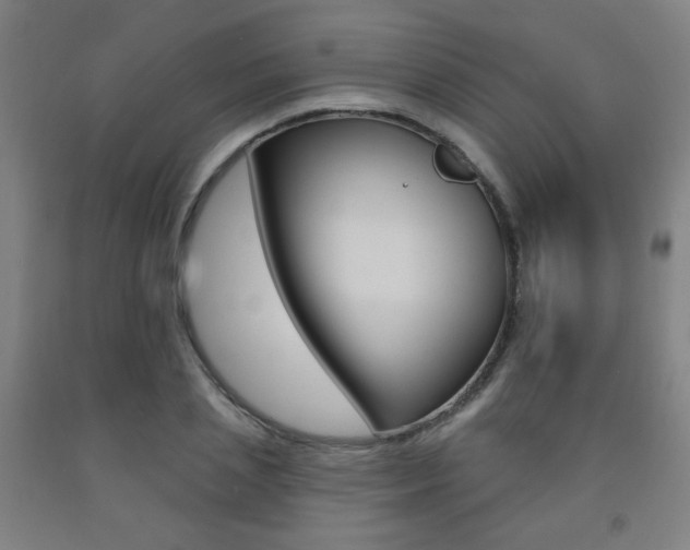 X0000093260837200709261616