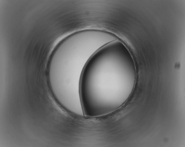 X0000093260838200709261616