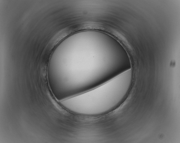X0000093260841200709261616