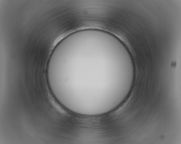 X0000093260842200709261616