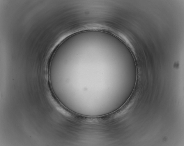 X0000093260843200709261616
