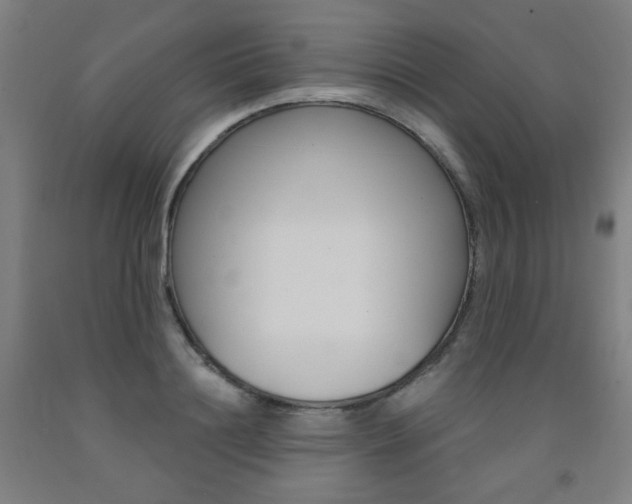 X0000093260844200709261616